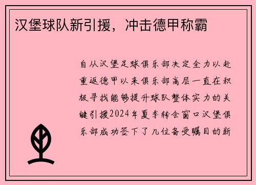 汉堡球队新引援，冲击德甲称霸